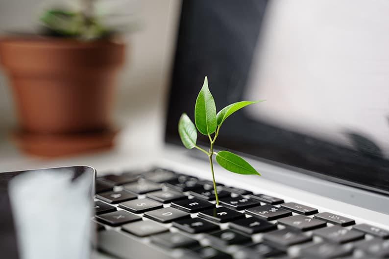 10 Tipps für mehr Nachhaltigkeit im Büro